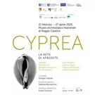 cyprea