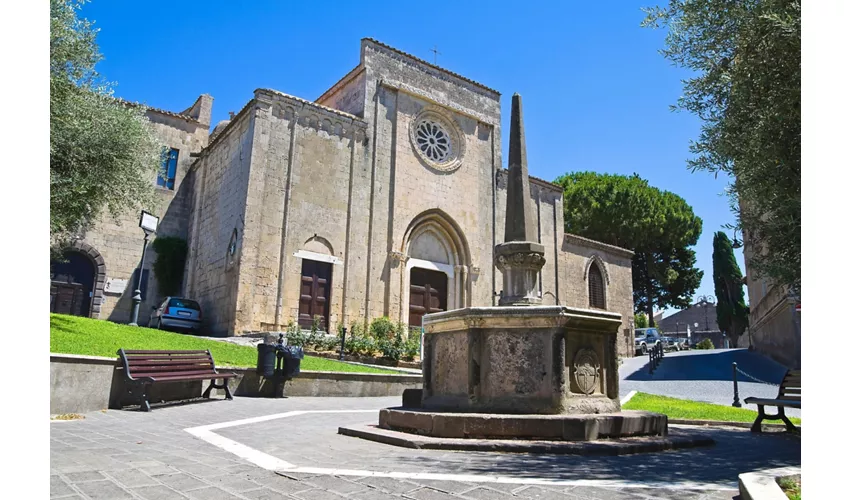 Tarquinia: Entrada + Traslado de ida y vuelta desde Civitavecchia