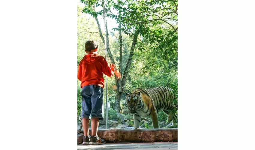 Parco Natura Viva: Biglietto a data aperta