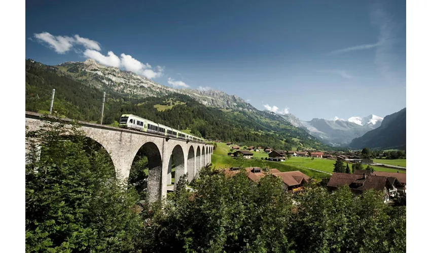 Interlaken & Green Train of Swiss Alps: Day Trip from Milan