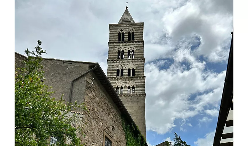 Salta la fila per il Palazzo dei Papi (Polo Monumentale Colle del Duomo)