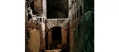 Trevi Fountain Rome: Underground Domus Guided Tour