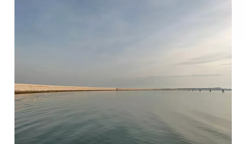 Pellestrina: Excursión guiada en barco por la laguna veneciana