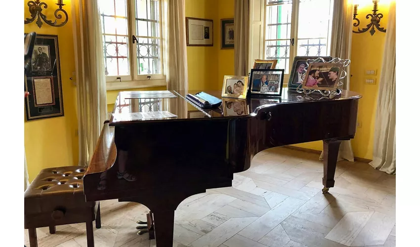 Casa Museo Luciano Pavarotti: Biglietto d'ingresso