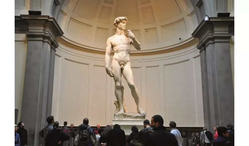 Galleria dell'Accademia e degli Uffizi: Tour guidato + viaggio di andata e ritorno da Roma