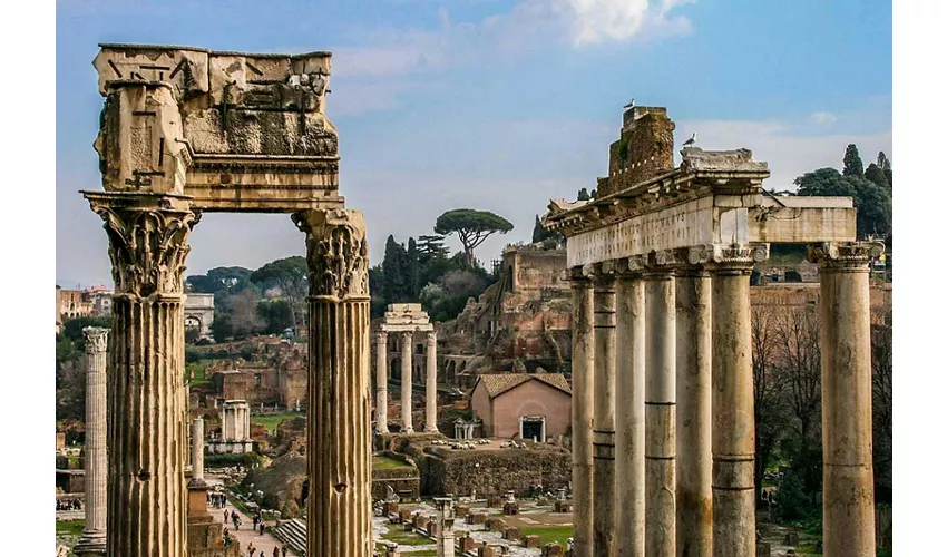 Colosseo, Foro Romano e Palatino + Tour guidato semi-privato in inglese