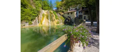 Venice: Guided Prosecco Tour + Transfer + Wine Tasting + Lunch