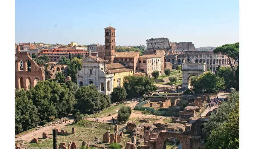 Colosseo, Foro Romano e Palatino + Tour guidato