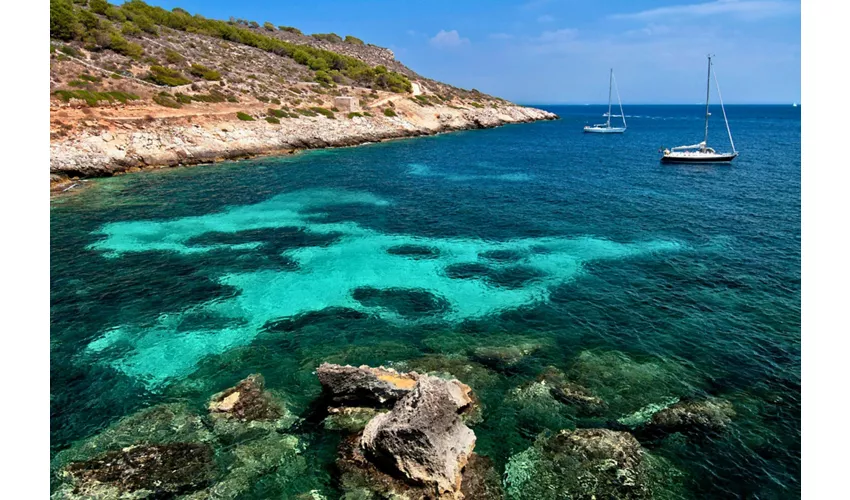 Favignana & Levanzo: RIB Boat Tour from Trapani + Lunch & Aperitif