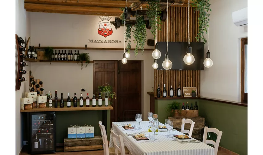 Safari Grand Tour und Verkostung