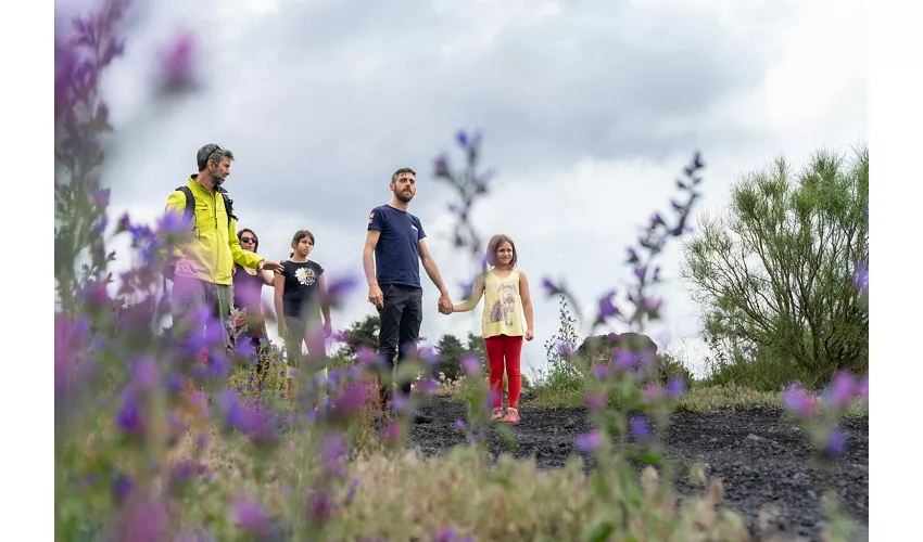 Monte Etna: Excursión guiada de un día desde Taormina + Traslado de ida y vuelta