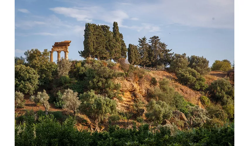 Jardín de Kolymbethra: Entrada + Experiencia de Recolección de Naranjas