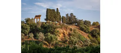 Jardín de Kolymbethra: Entrada + Experiencia de Recolección de Naranjas