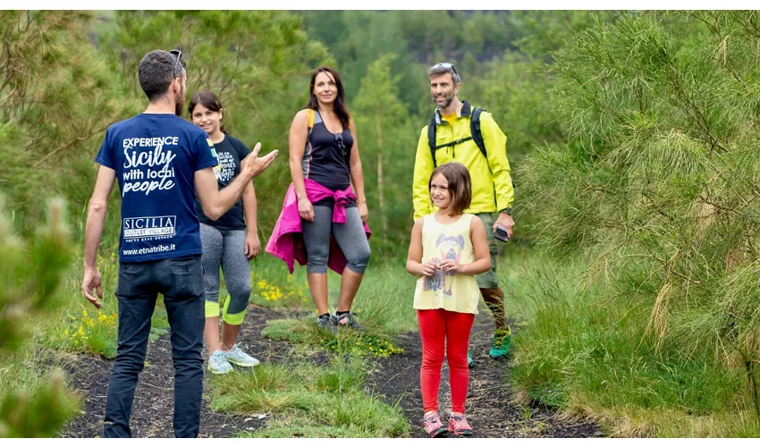 Mount Etna: Guided Day Trip from Catania