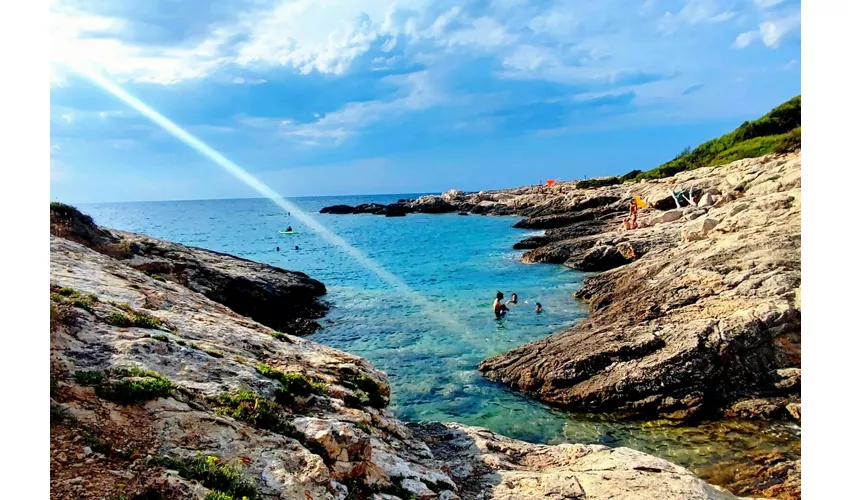 Islas Tremiti: Excursión guiada en barco desde Peschici