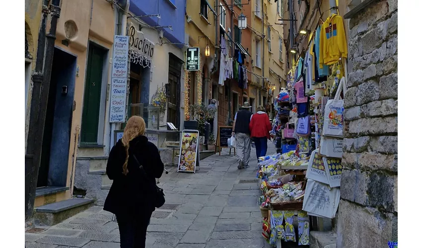 Cinque Terre e Portovenere: Gita di un giorno da Milano + crociera in barca