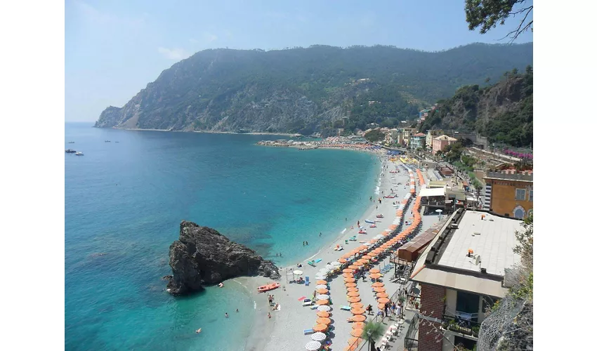 Cinque Terre: Daytrip from Milan