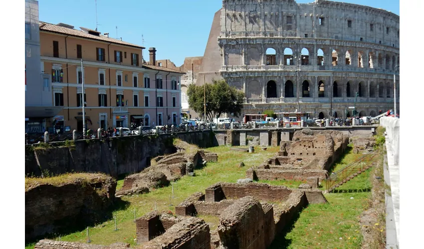 Colosseo, Foro Romano e Palatino + Tour guidato per gruppi ristretti