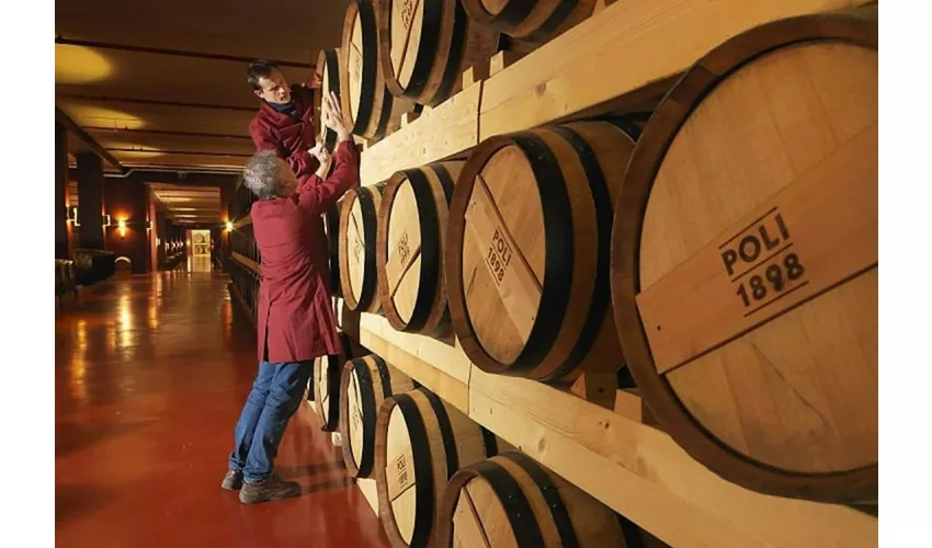 Venecia: Cata guiada de Grappa