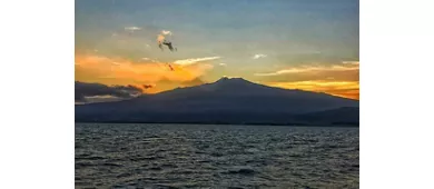 Taormina: Delfin Tour bei Sonnenuntergang + Aperitif