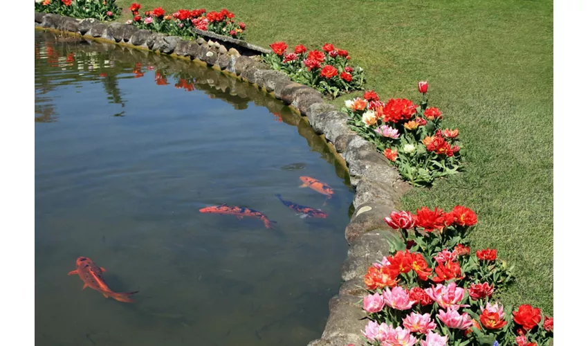 Parco Giardino Sigurtà: Billete de fecha abierta