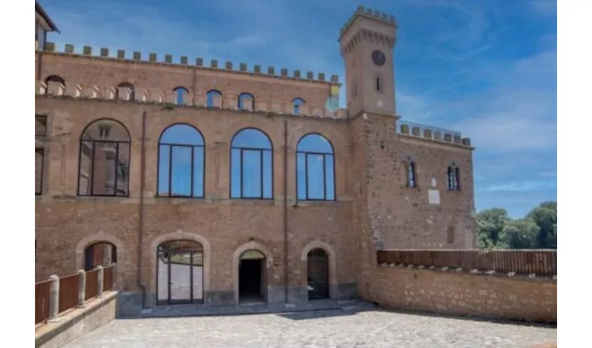 Palazzo Doebbing: Biglietto d'ingresso