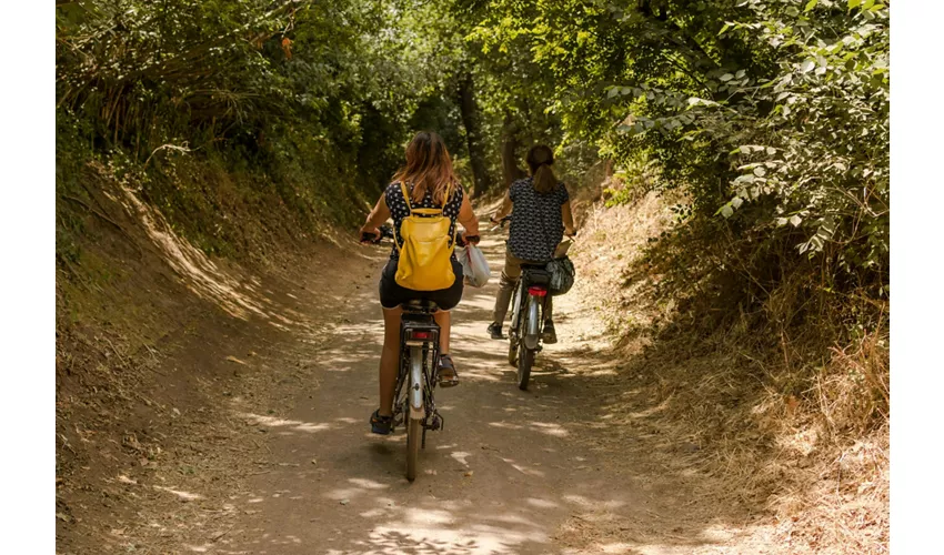 Roma: Noleggio bici di un giorno sull'Appia Antica