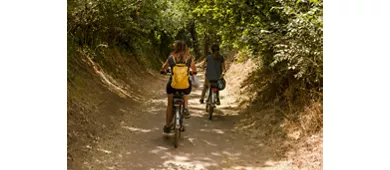 Roma: Appia Antica Alquiler de bicicletas por un día