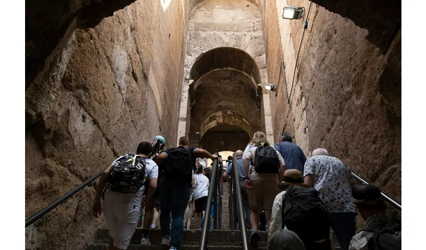 Colosseo, Foro Romano e Palatino + Tour guidato