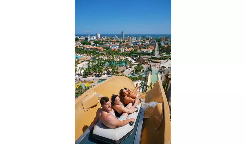 Caribe Bay: Open Date Ticket