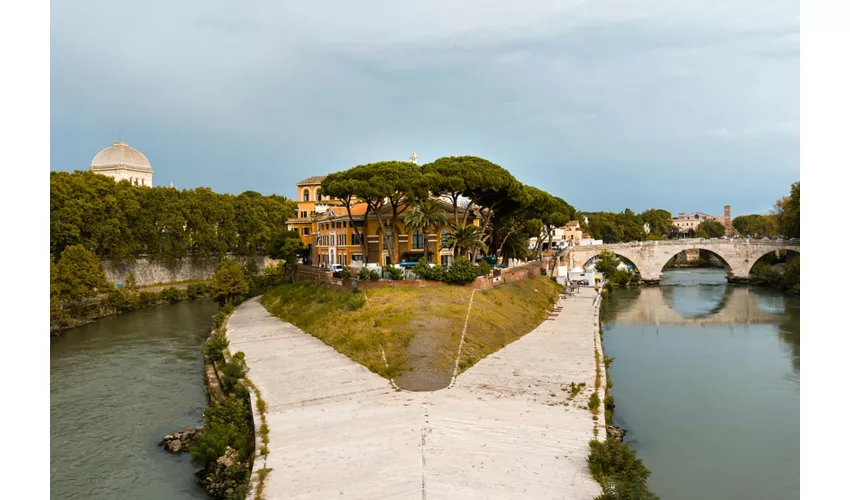 Trastevere, Fontana di Trevi e Isola Tiberina Roma: Tour guidato, crociera e degustazione