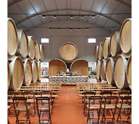Wine Tasting in the historic Alagna Cellar in Marsala
