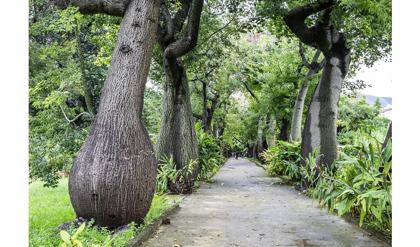 Jardín Botánico de Palermo: Entrada