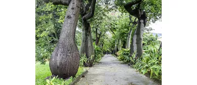 Jardín Botánico de Palermo: Entrada