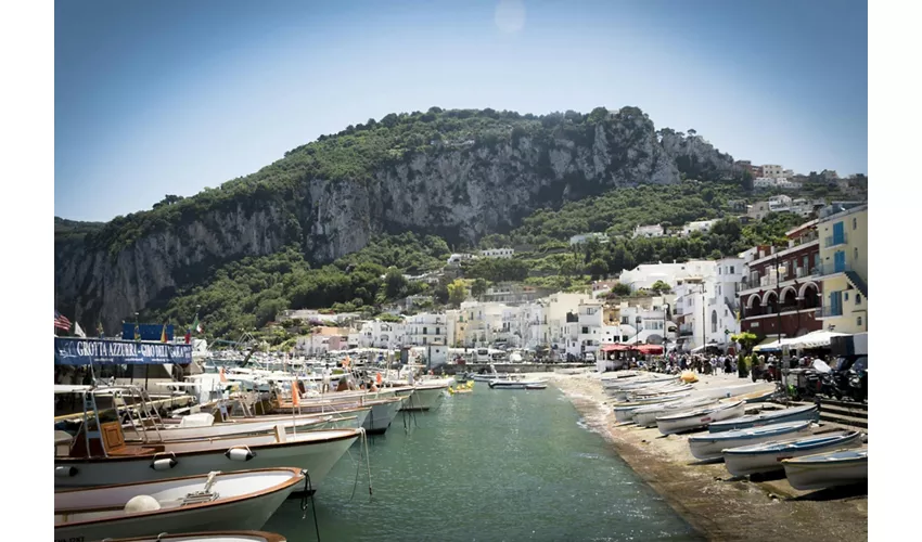 Isola di Capri con la Grotta Azzurra: escursione guidata di un giorno da Roma