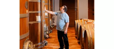 Módena: Visita guiada + Degustación de Vinagre Balsámico