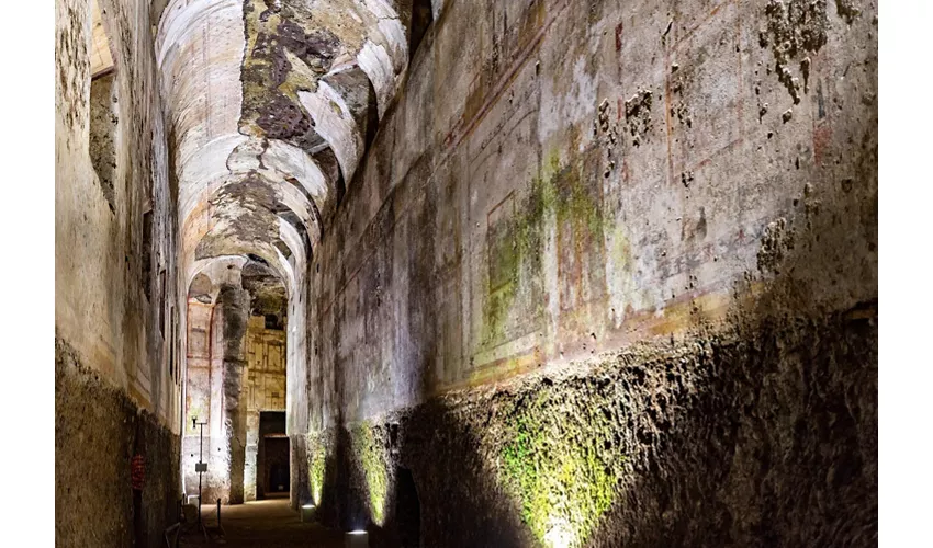 Domus Aurea: Entrada + Tour guiado