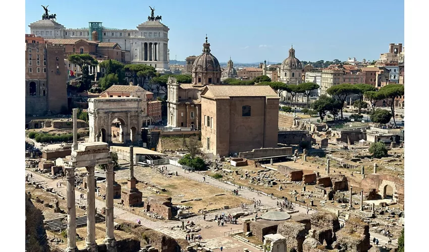 Colosseo, Foro Romano e Palatino + Tour guidato