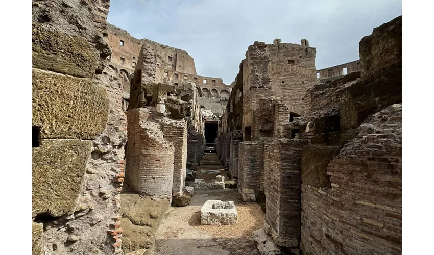 Colosseum, Arena, Underground, Forum & Palatine Hill + Guided Tour