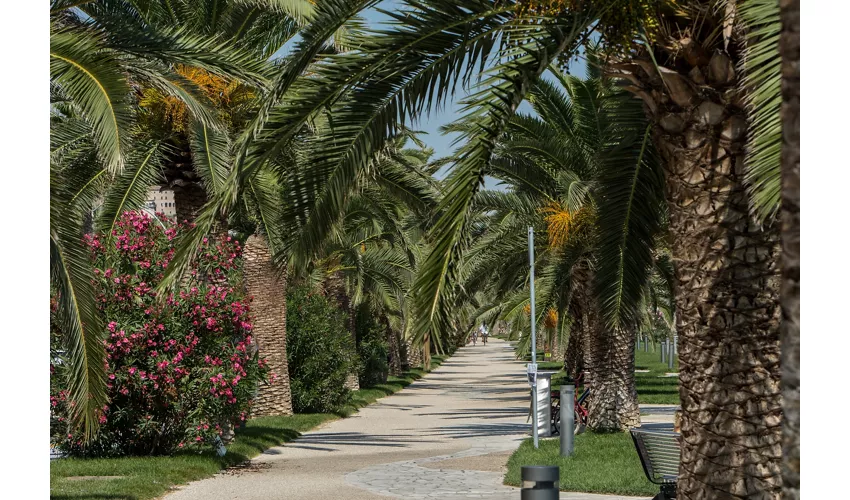 Grottammare