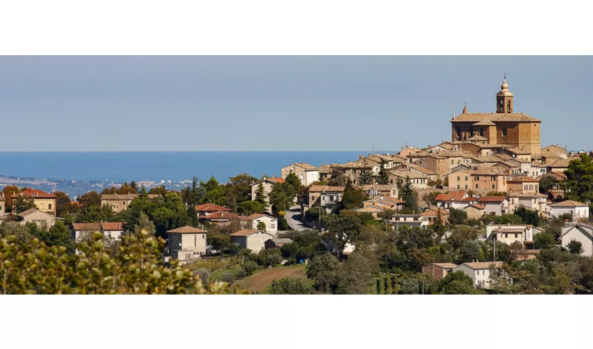 Montecarotto
