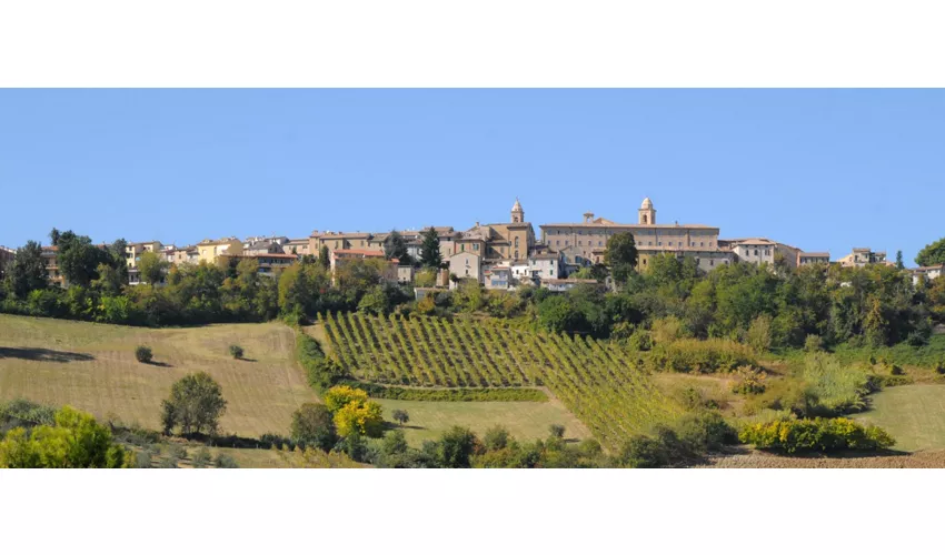 Cupramontana