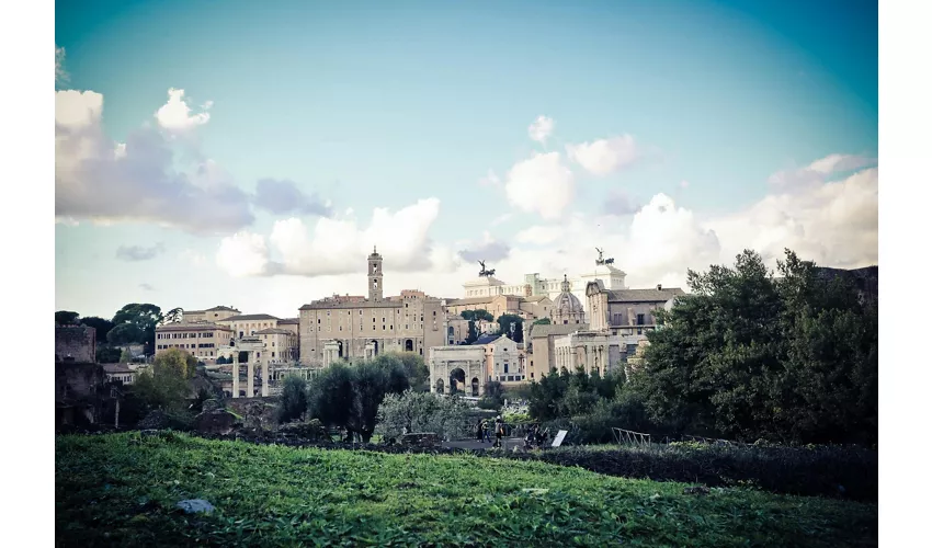 Colosseum, Roman Forum & Palatine Hill + Guided Tour