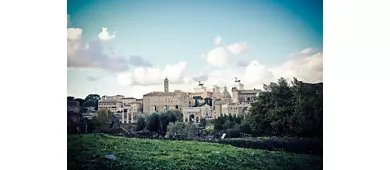 Colosseum, Roman Forum & Palatine Hill + Guided Tour