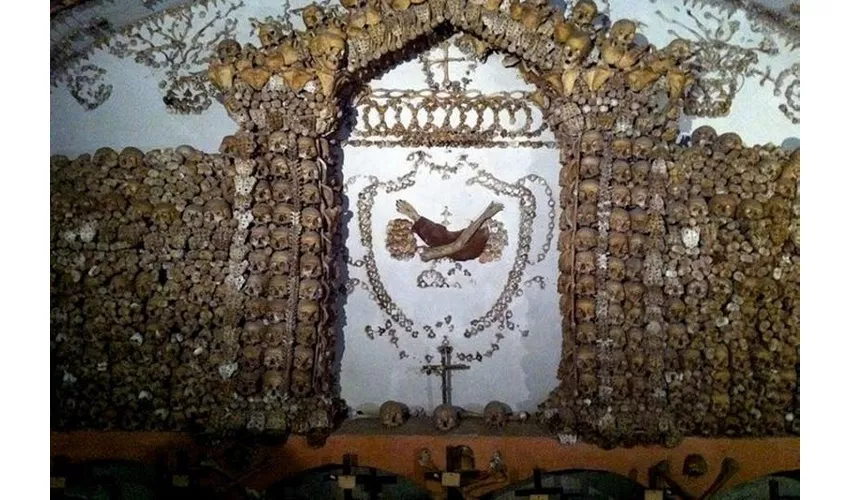 Cripta de los capuchinos: Tour guiado