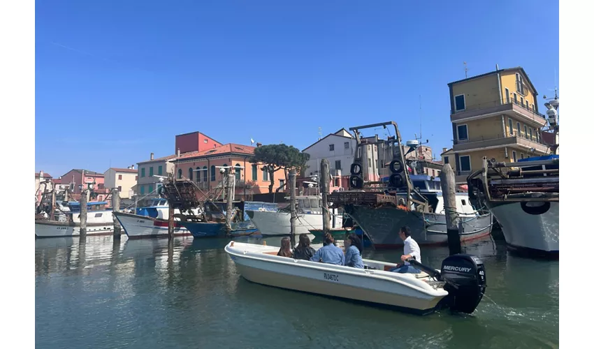 Chioggia: Guided Boat Tour