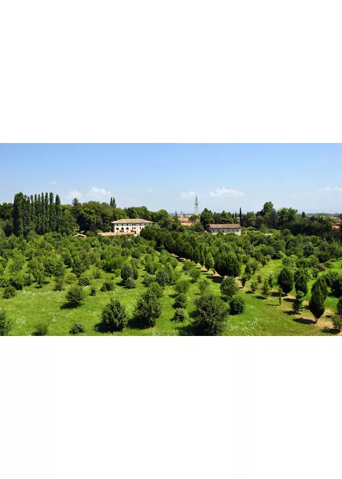 3° Festival delle Dimore Storiche – autunno