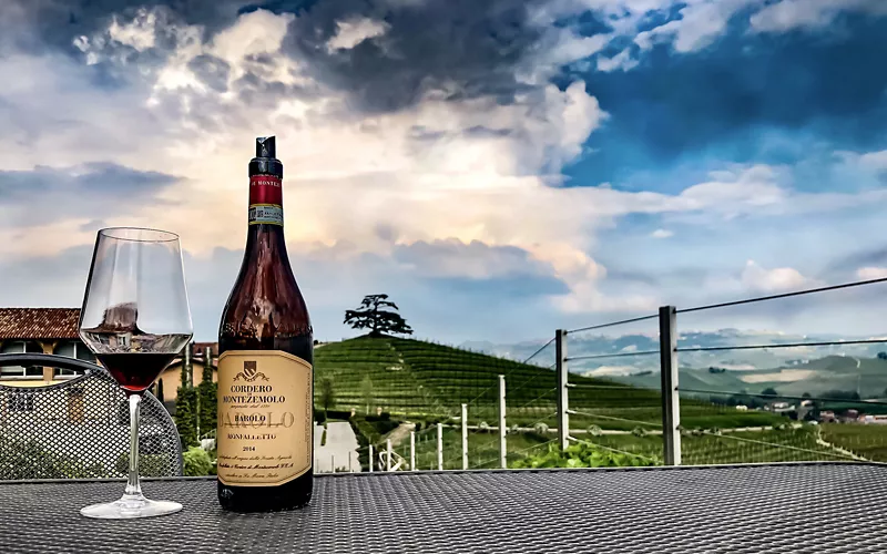 Que vinhos existem nas Langhe?