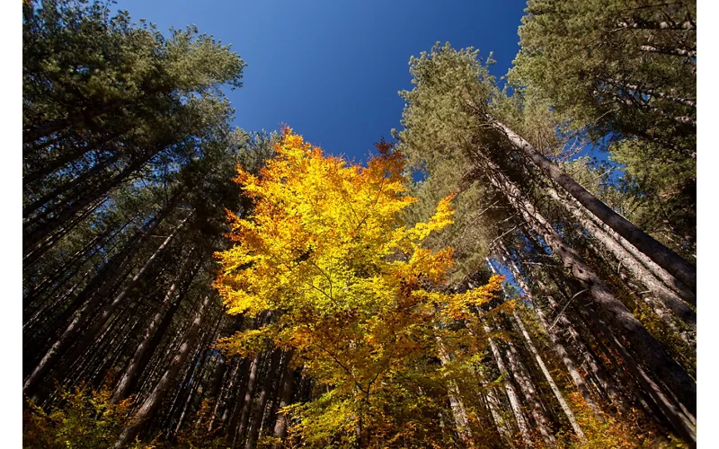 Dónde ir el Lunes de Pascua en Calabria