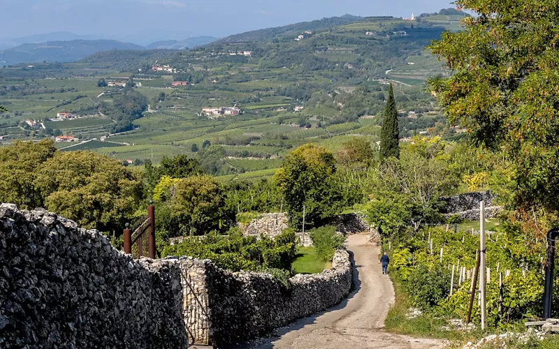 Borghetto Sul Mincio - Cimeli medievali e natura fluviale incontaminata